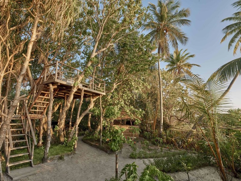 Park Hyatt Maldives Hadahaa 14