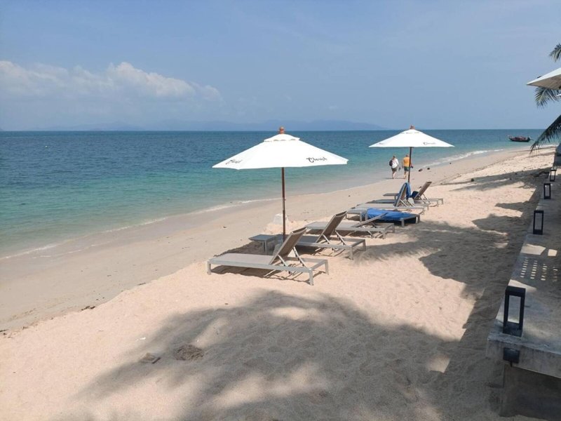 March Samui Resort 15