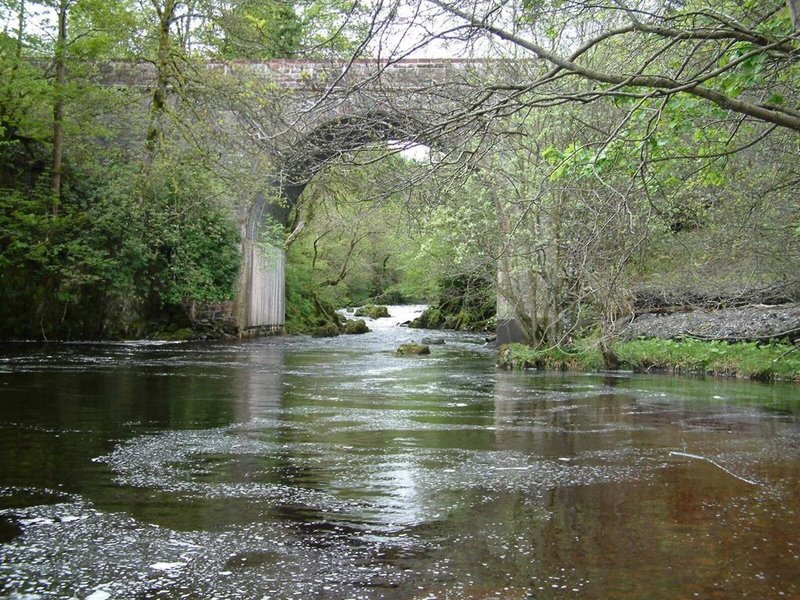 Bridge of Cally 3