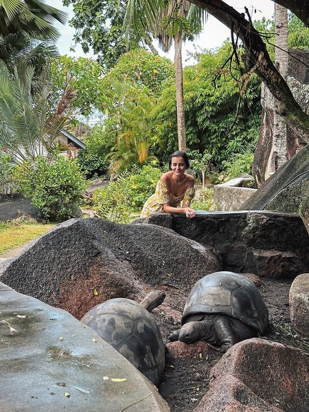 Chateau St. Cloud 10