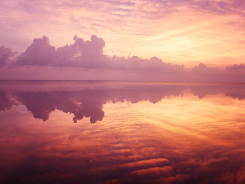 Ayara Kamala Resort & Spa 10