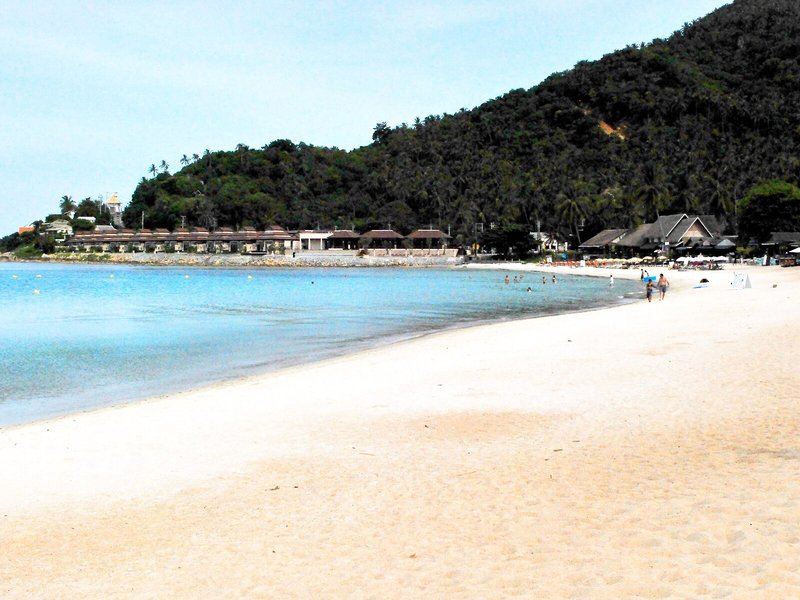 The Sarann 13