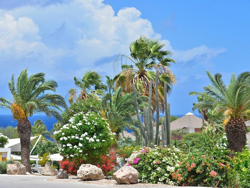 Chogogo Dive & Beach Resort 15