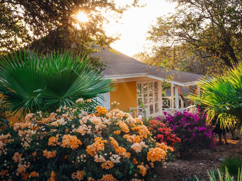 Chogogo Dive & Beach Resort 39