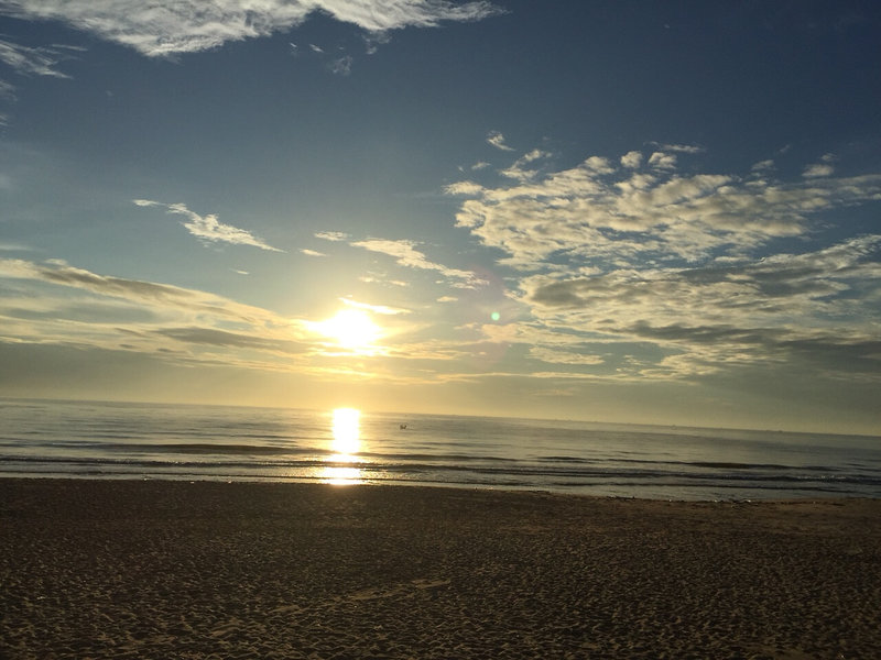 Sea Lion Beach Resort & Spa 7
