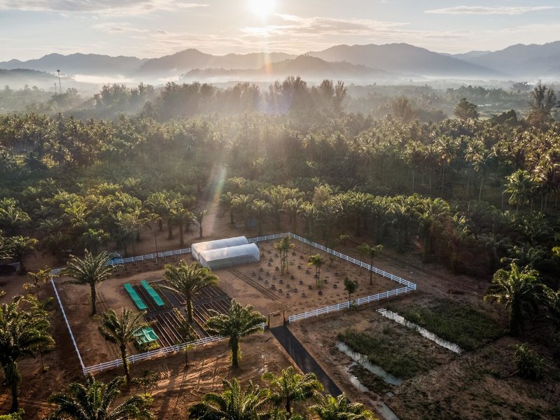 Jw Marriott Khao Lak Resort & Spa 5