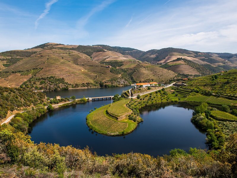 Vila Gale Douro Vineyards 6