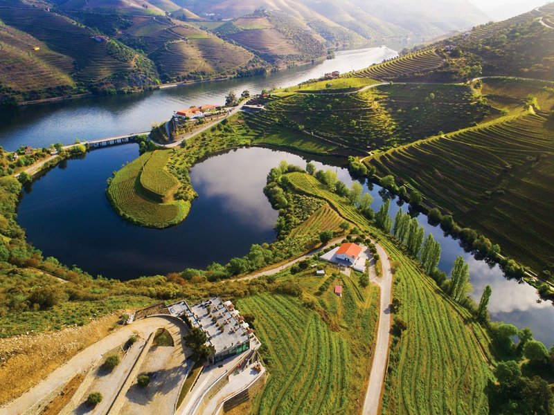 Vila Gale Douro Vineyards 8