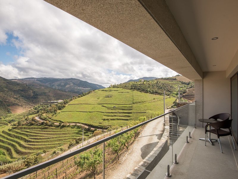 Vila Gale Douro Vineyards 47