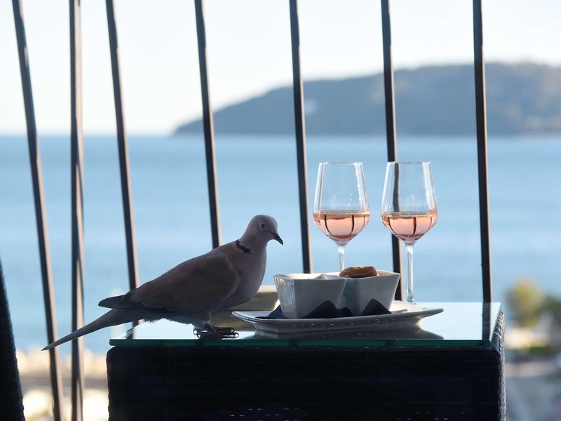 Best Western Plus La Corniche 5