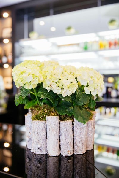 Best Western Plus Hotel Moderne Caen 5