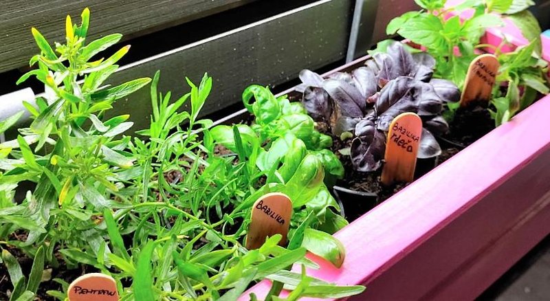 Apartments Sarc Rovinj 1