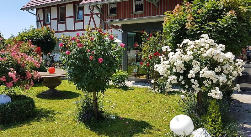 Landgut Apfelrose 1