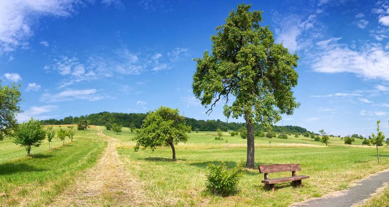 Best Western Victor´s Residenz Hotel Rodenhof 4