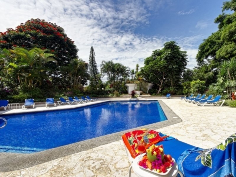 Bougainvillea 7