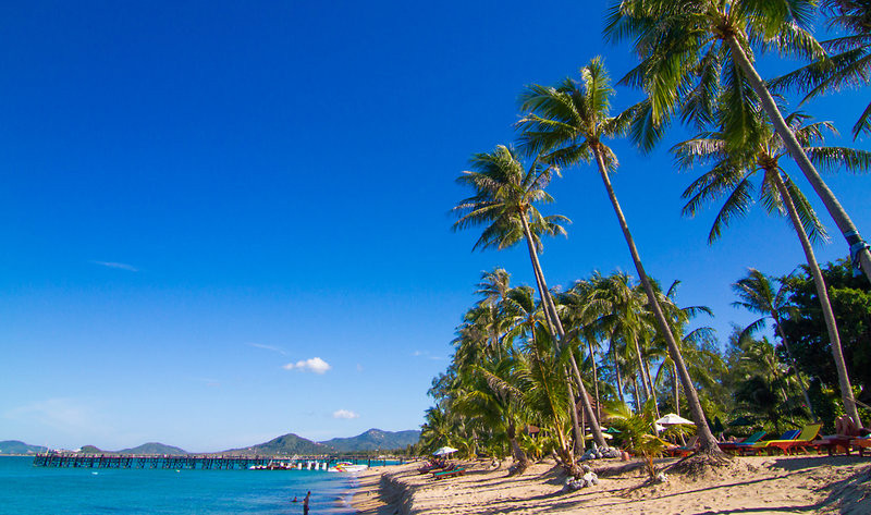 Coco Palm Beach Resort 8