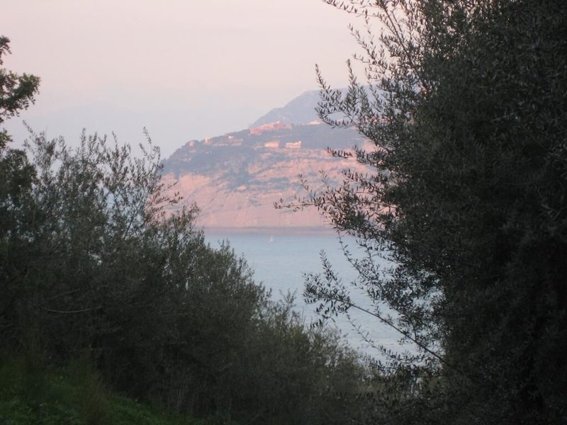 Central 11