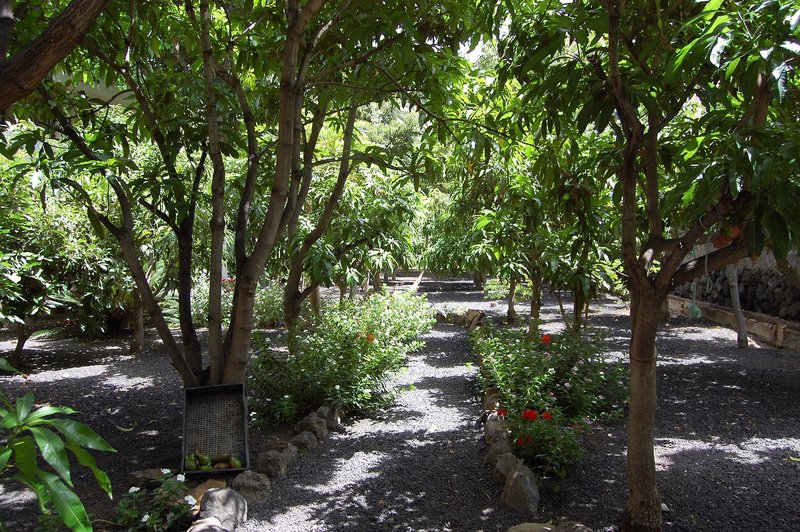 Finca La Roseta & App. Borbolan 12