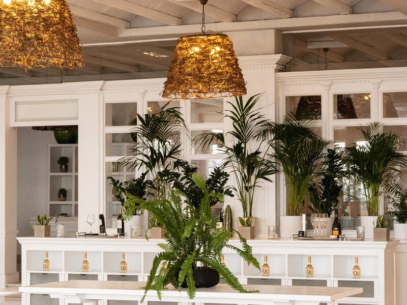 Mykonos Blu, A Grecotel Resort to Live 17