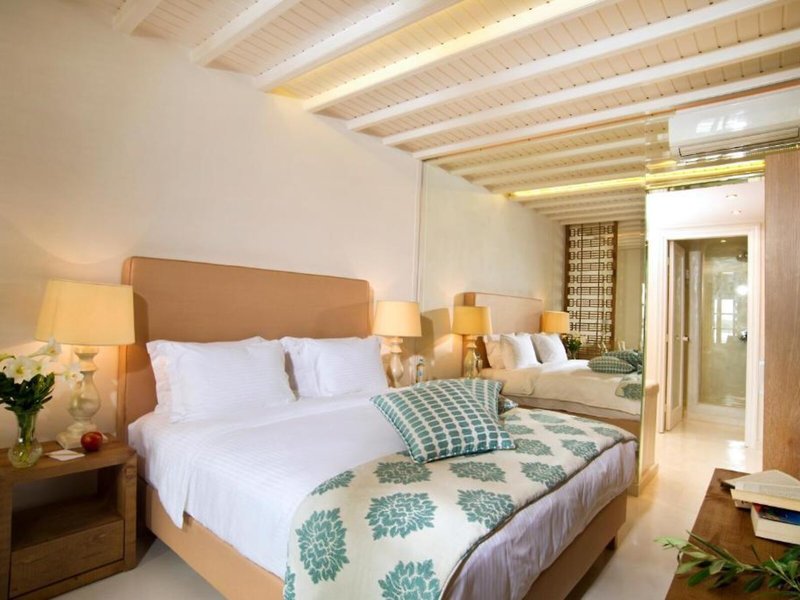 Petinos Beach Hotel 47