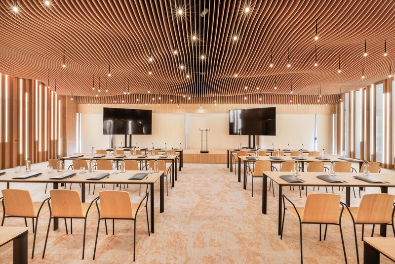 Aubamar Suites & Spa 101 - Conference Room