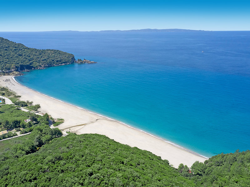MarBella Elix 31