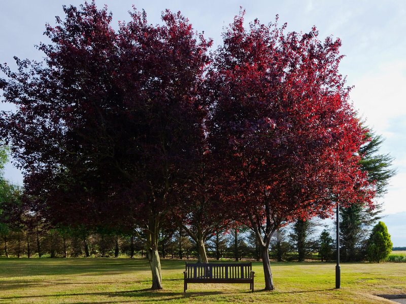 Holiday Inn Ipswich 6