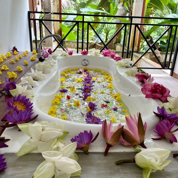 Silent Garden Ayurveda Health Resort 7