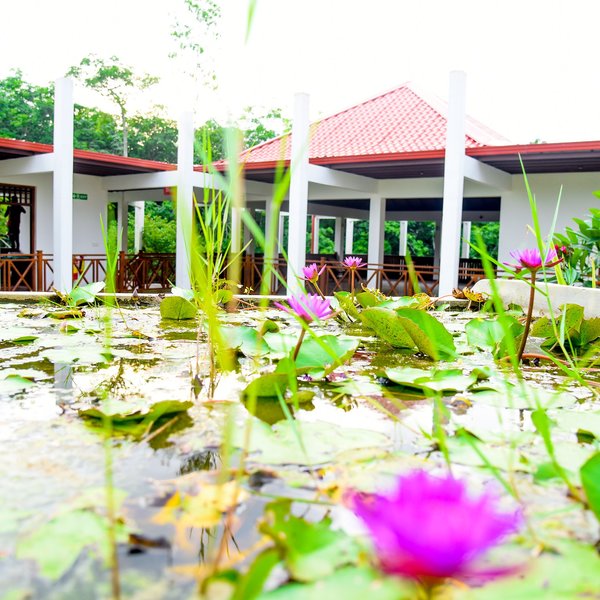 Silent Garden Ayurveda Health Resort 9