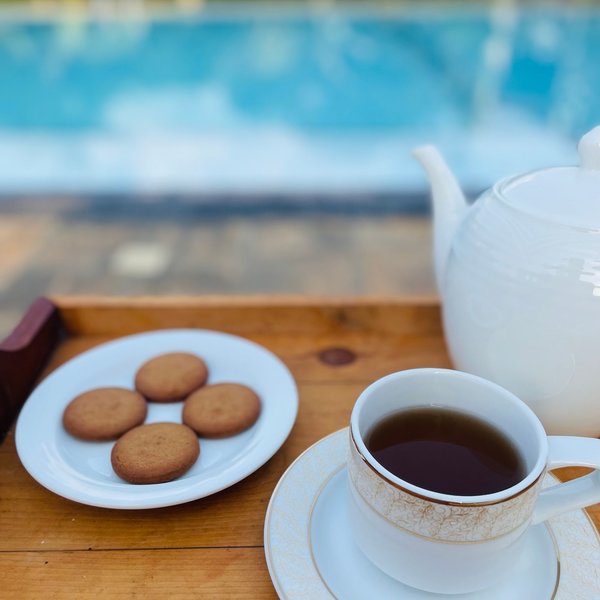 Silent Garden Ayurveda Health Resort 13