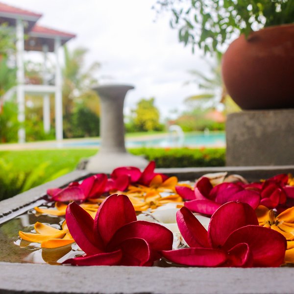 Silent Garden Ayurveda Health Resort 29