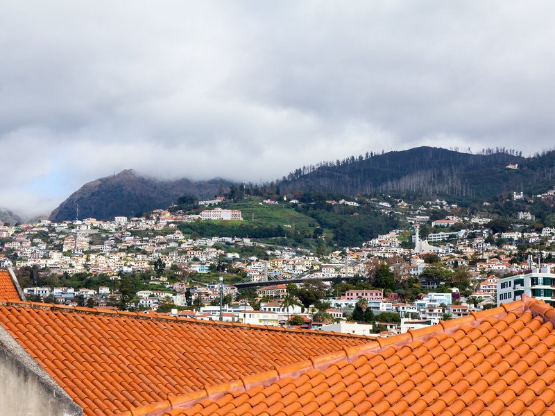 Apartamentos Funchal by Petit Hotels 1