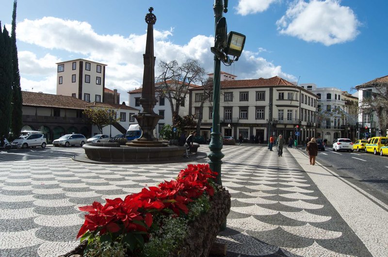 Apartamentos Funchal by Petit Hotels 9