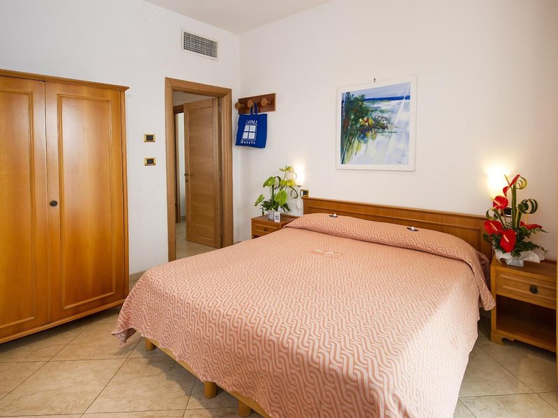 Joli Park Hotel 46 - Room Example