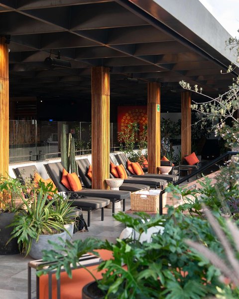 Umbral Curio Collection By Hilton 4