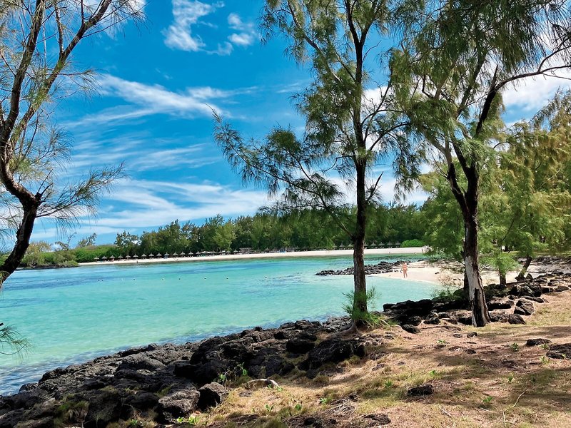 Bubble Lodge Ile aux Cerfs 4