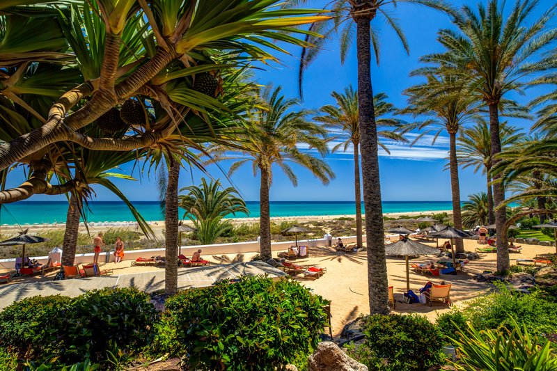 SBH Hotel Costa Calma Palace 11