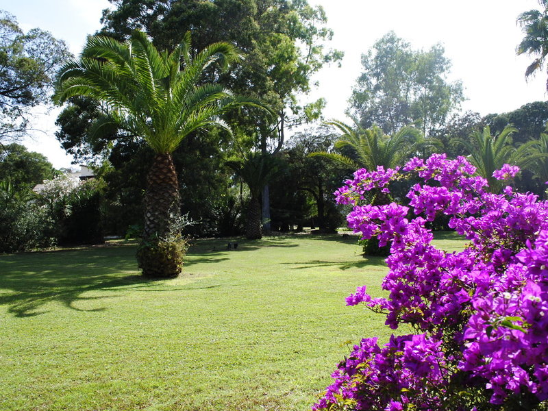 Costa Dei Fiori 23
