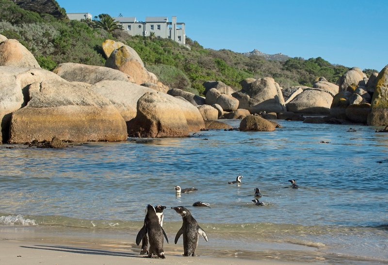 Tintswalo At Boulders 1