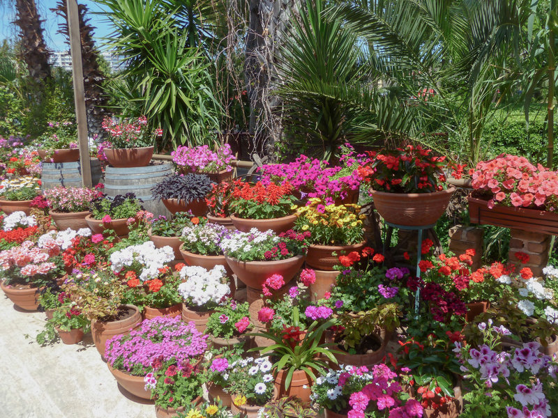 Zeynel Boutique Hotel 1