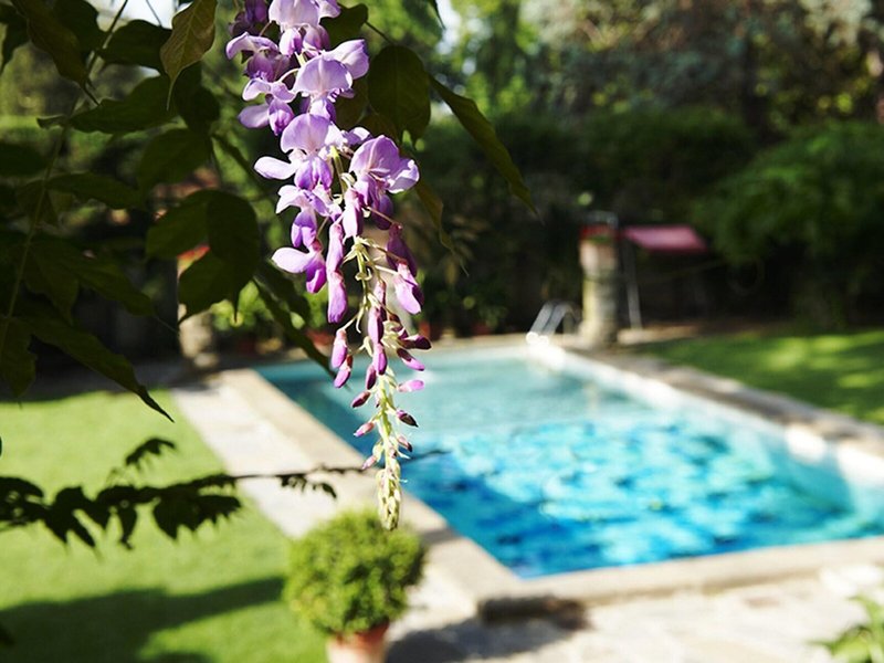 Park Palace Hotel 3