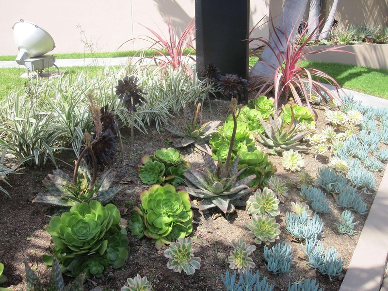 Crowne Plaza Los Angeles International Airport 6