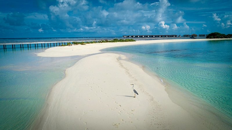 The Residence Maldives at Dhigurah 4