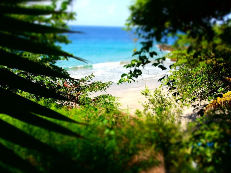 Bacolet Beach Club 15
