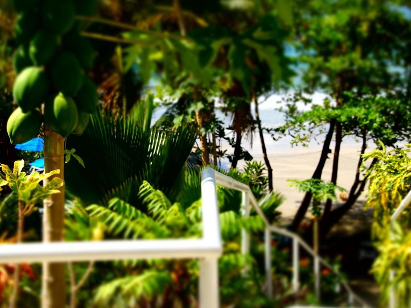 Bacolet Beach Club 30