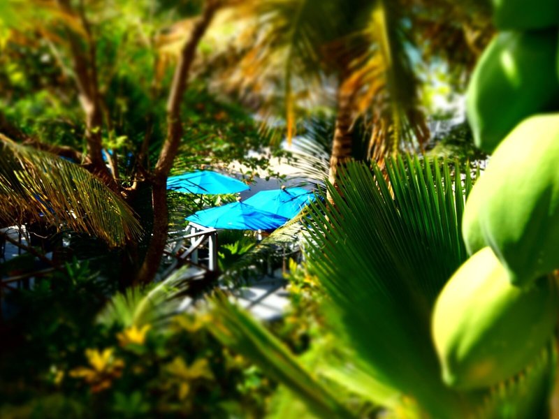 Bacolet Beach Club 33