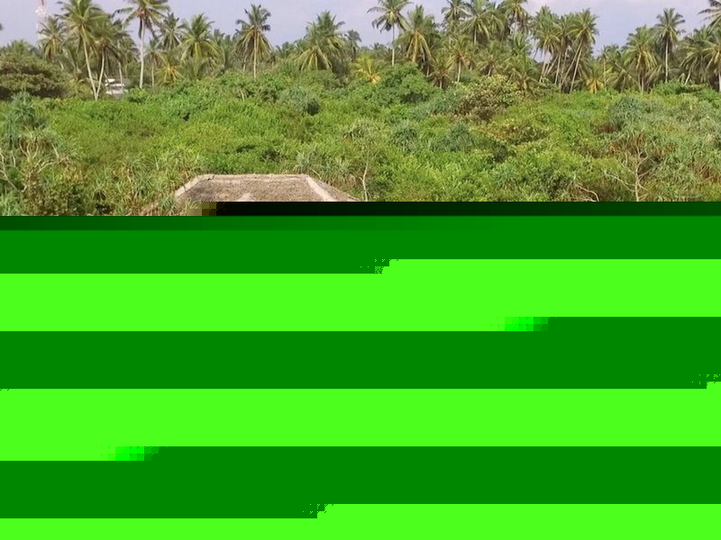 Jungle Beach Camp Ahungalla 1
