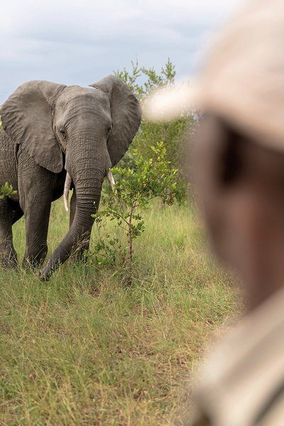 Arathusa Safari Lodge 10