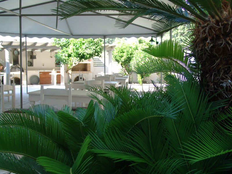 Ivory Hotel 5