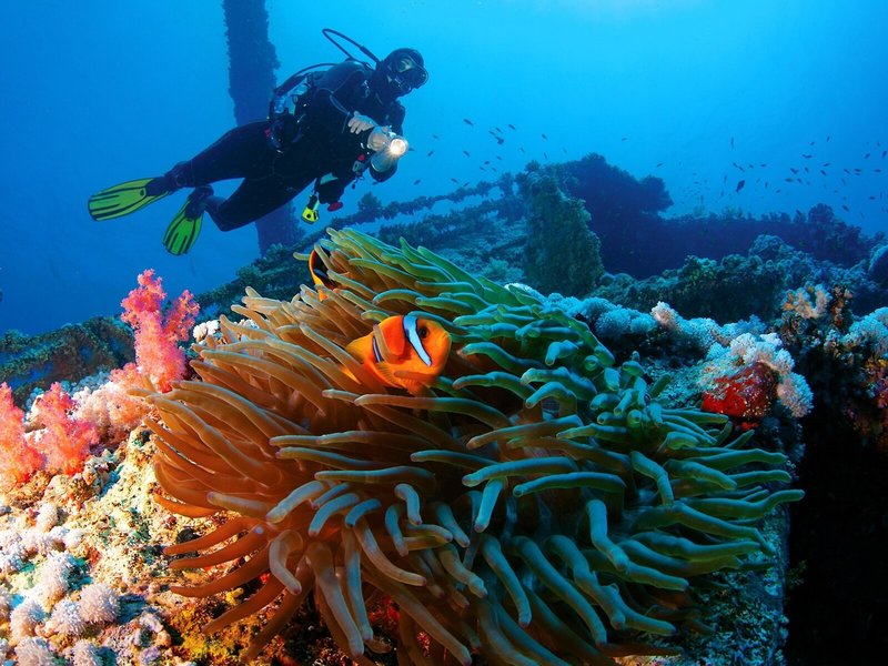 Sultan Sands Island Resort 48